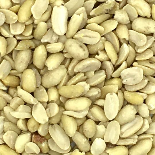 GEVO Erdnüsse blanchiert 25kg 
