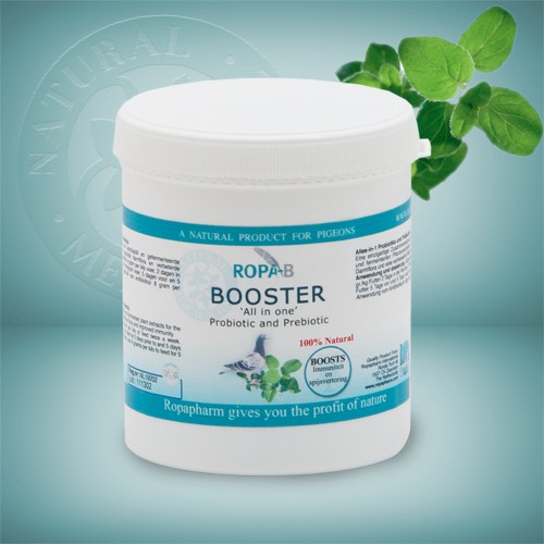 Ropa B Booster 300g 